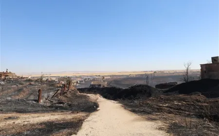Piştî şewatê dîmenên wêraniya li gundê El Tûliyê