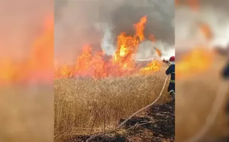 Li Hesekê agir hat vemirandin 80 donim erd şewitî