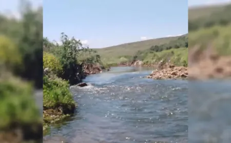 Li Hemayê 8 hezar û 80 kes bi nexweşiya leşmaniyayê ketine