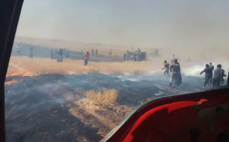 Şewata li zeviyê genim ê Dirbêsiyê hat vemirandin
