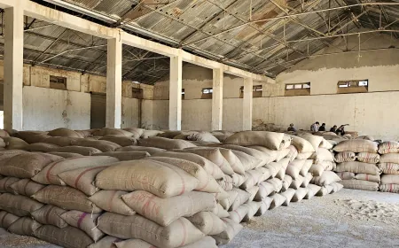 Piştî 7 salan depoya genim a Dirbêsiyê dîsa hat vekirin