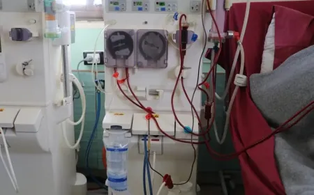 Ji bo şûştina gurçikên xwe mehane 150 dolarî didin