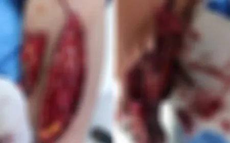 Li Qamişlo şêrekî zarokek gez kir