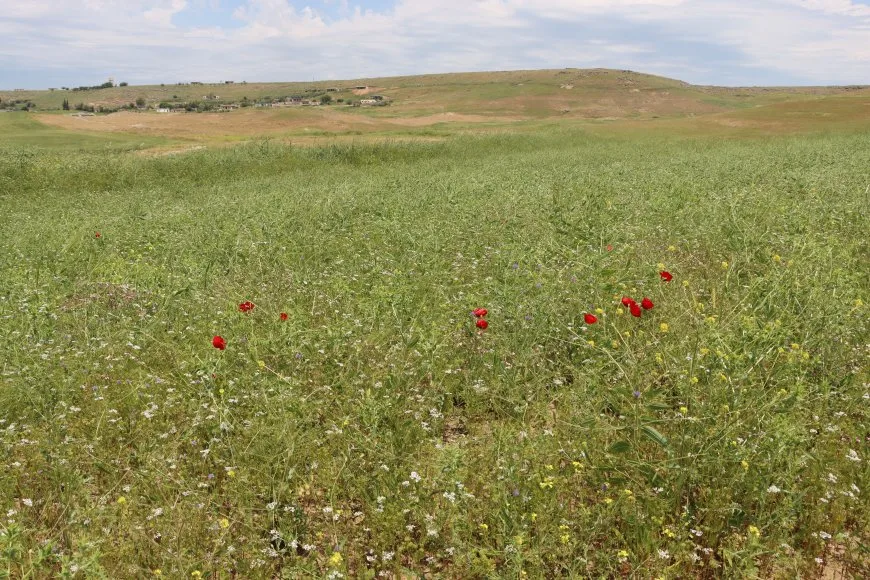 Cotkaran dest bi çinîna gijnîjê kir