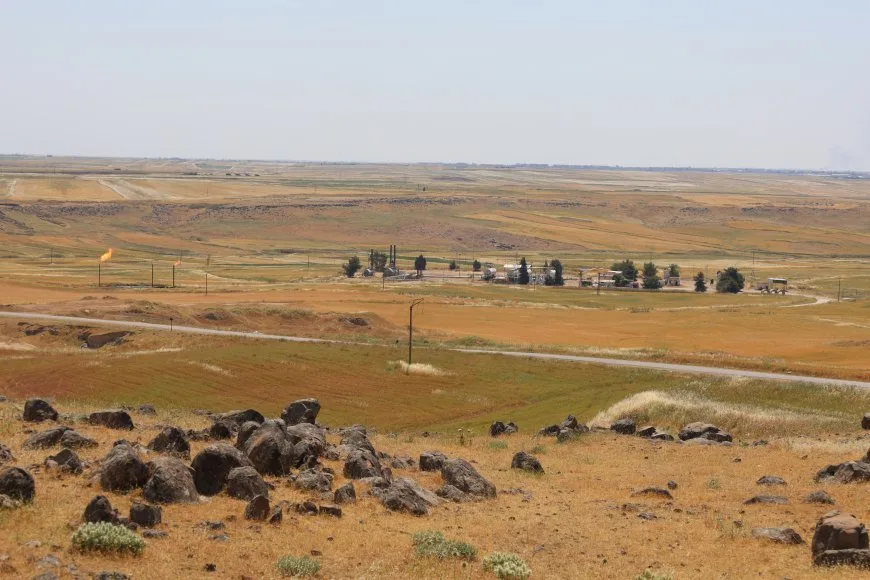 Devera aliyan bi zeviyên zêrîn û kulîlkên rengîn xemilî 