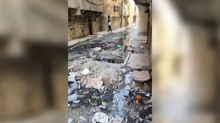 Taxeke Helebê di nav ava gemarî de maye