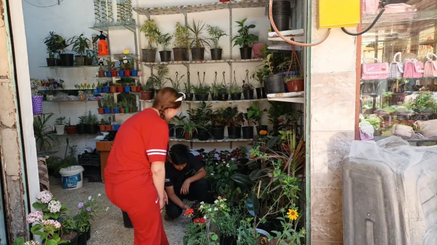 Hezkirina xwe ya kulîlkan veguherandin projeyeke serkeftî