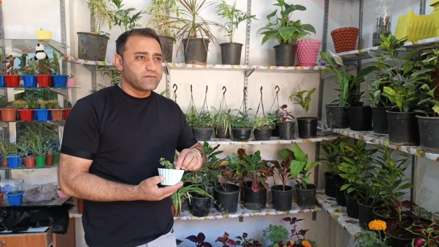 Hezkirina xwe ya kulîlkan veguherandin projeyeke serkeftî