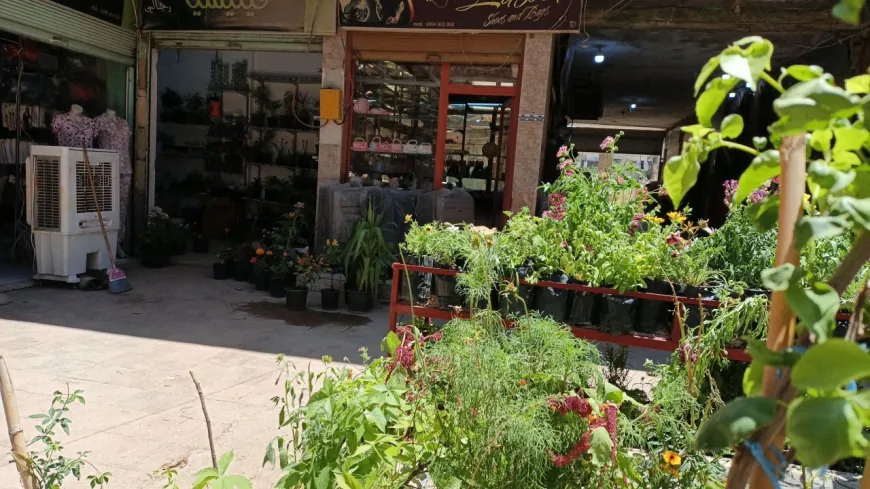 Hezkirina xwe ya kulîlkan veguherandin projeyeke serkeftî