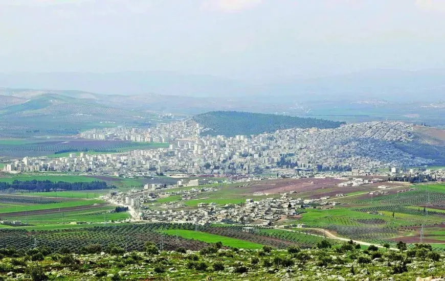 Çekdarên nenas li Efrînê bi ser malekê û firoştgehekê de girt