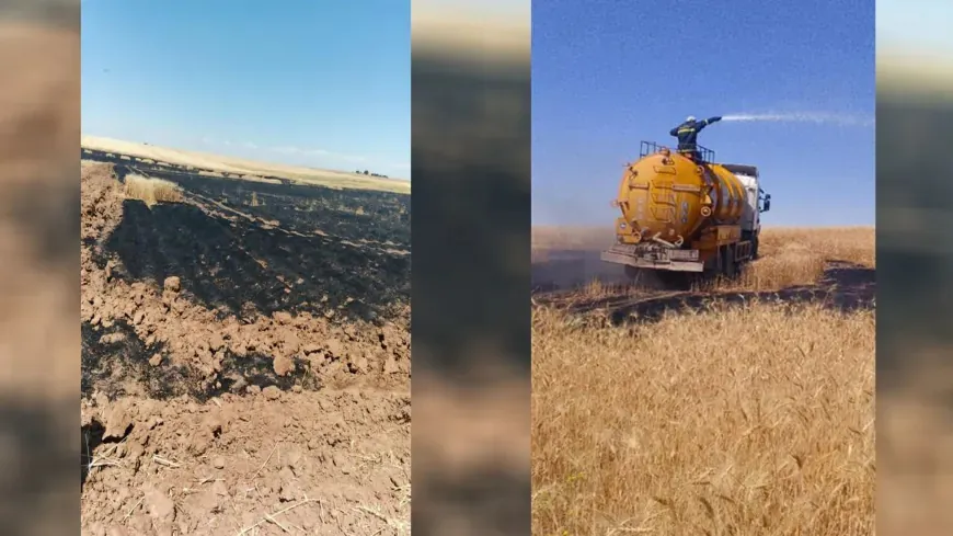 Li Dirbêsiyê 20 donim genim şewitî
