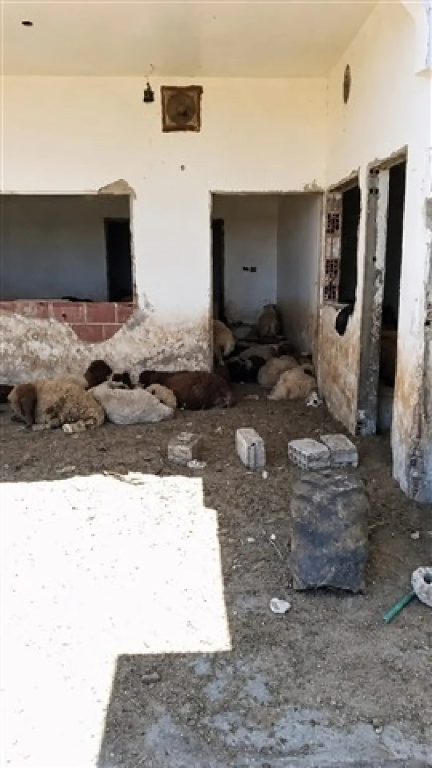 Mala koçberekî ji Serêkaniyê kirine gom