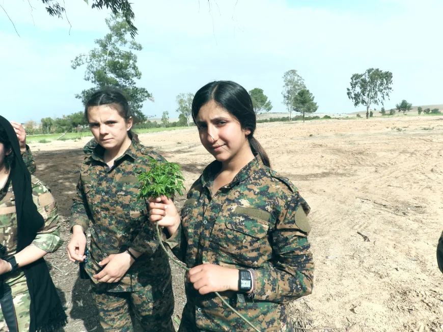 Çîroka Îmanê ya li Sûriyeyê: Di şer de serî netewand