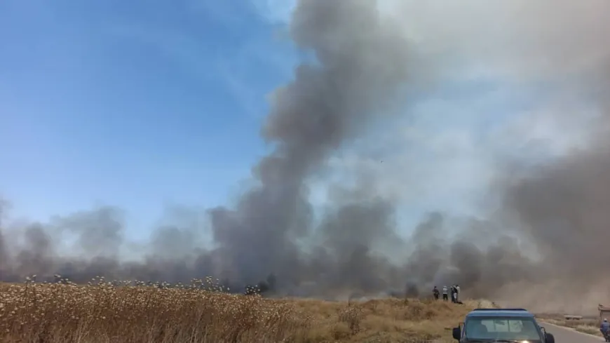 Leşkerên Tirk agir berda zeviyên Zirganê