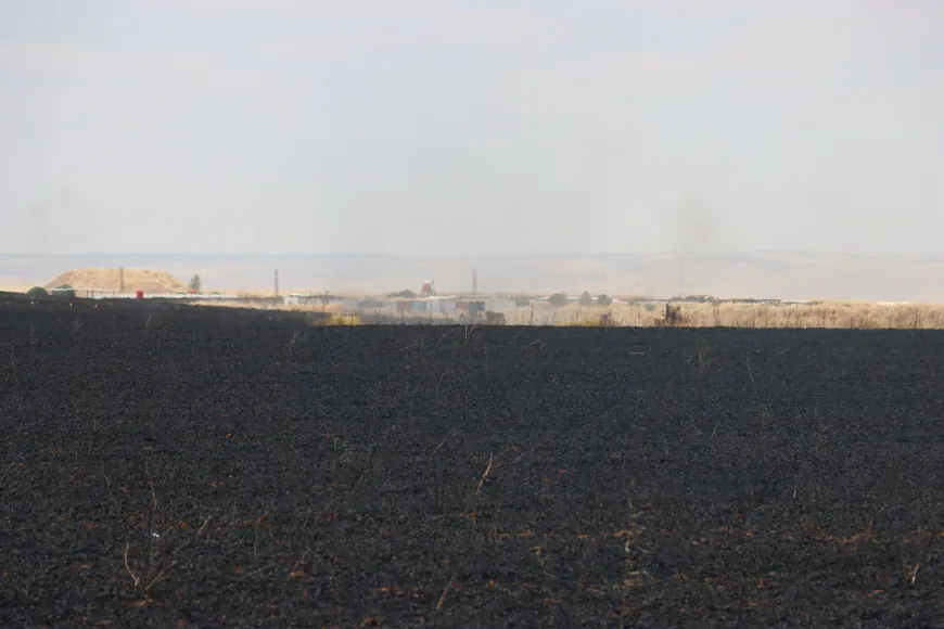 Li Qamişlo, Hesekê, Dirbêsiyê û Zirganê şewat