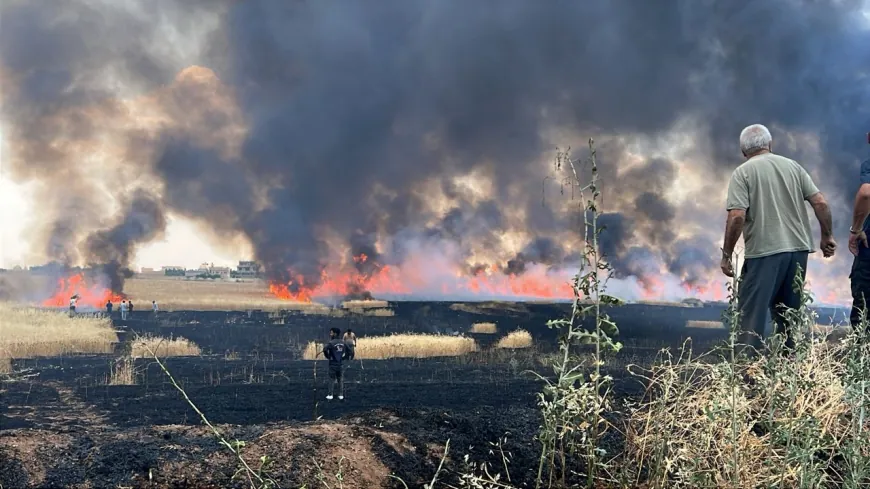 Li Qamişlo, Hesekê, Dirbêsiyê û Zirganê şewat