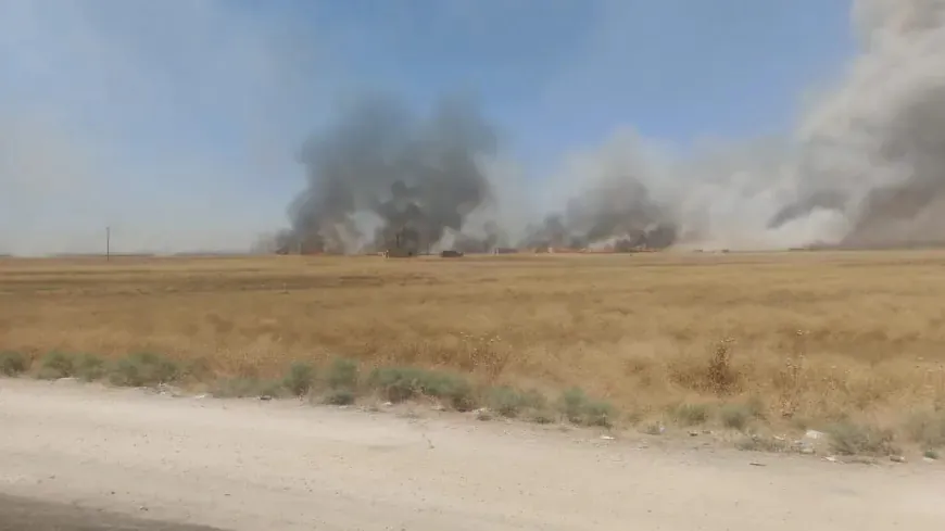 Leşkerên Tirk careke din agir berdan zeviyên çandiniyê