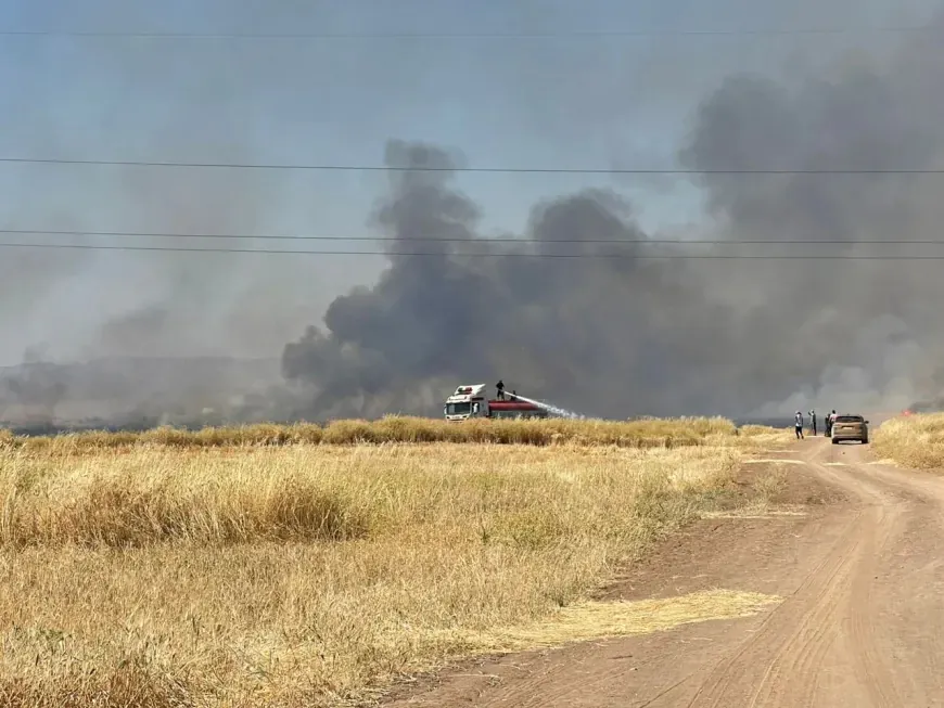 Li gundewarê Tirbespiyê agir bi zeviyan ket