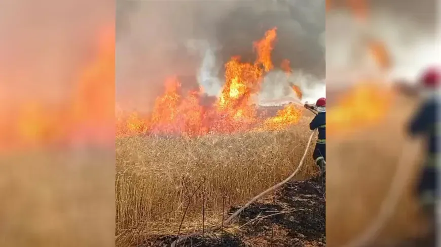 Li Hesekê agir hat vemirandin 80 donim erd şewitî