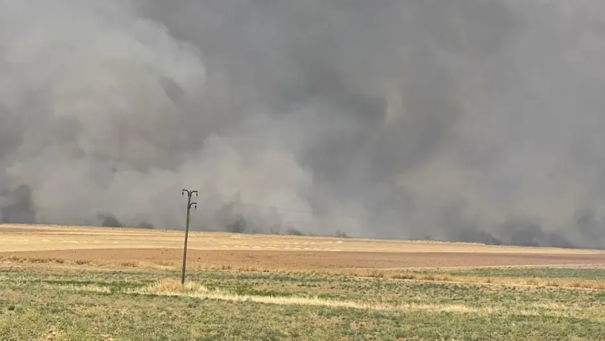 Li Qamişlo, Çilaxa û Tirbespiyê bi sedan donim zevî şewitî