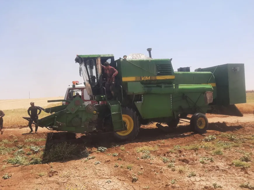 Li Dirbêsiyê 60 donim genim şewitî