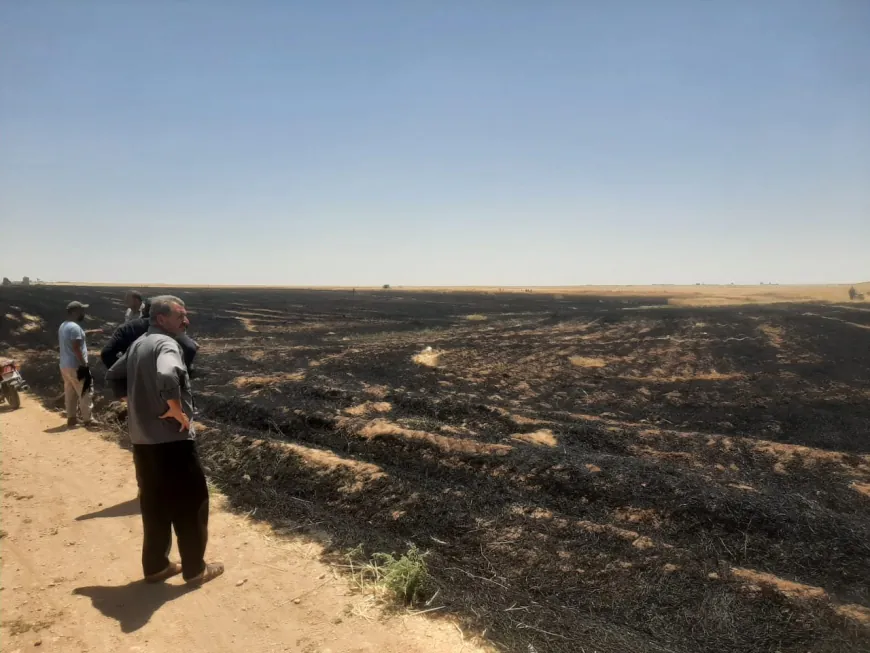 Li Dirbêsiyê 60 donim genim şewitî