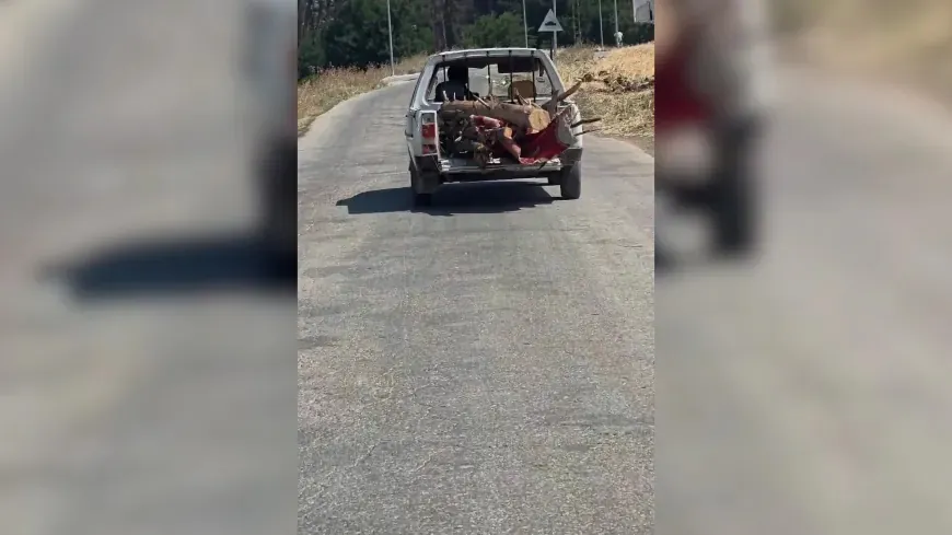 Li Efrînê birîna daran dewam dike