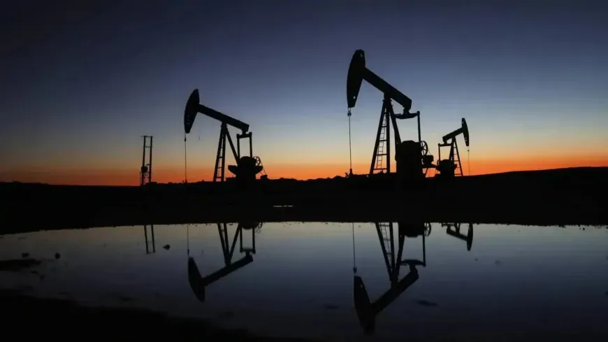 Bihayê petrolê ji sedî 5 zêdetir daketiye