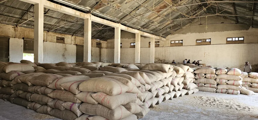 Piştî 7 salan depoya genim a Dirbêsiyê dîsa hat vekirin