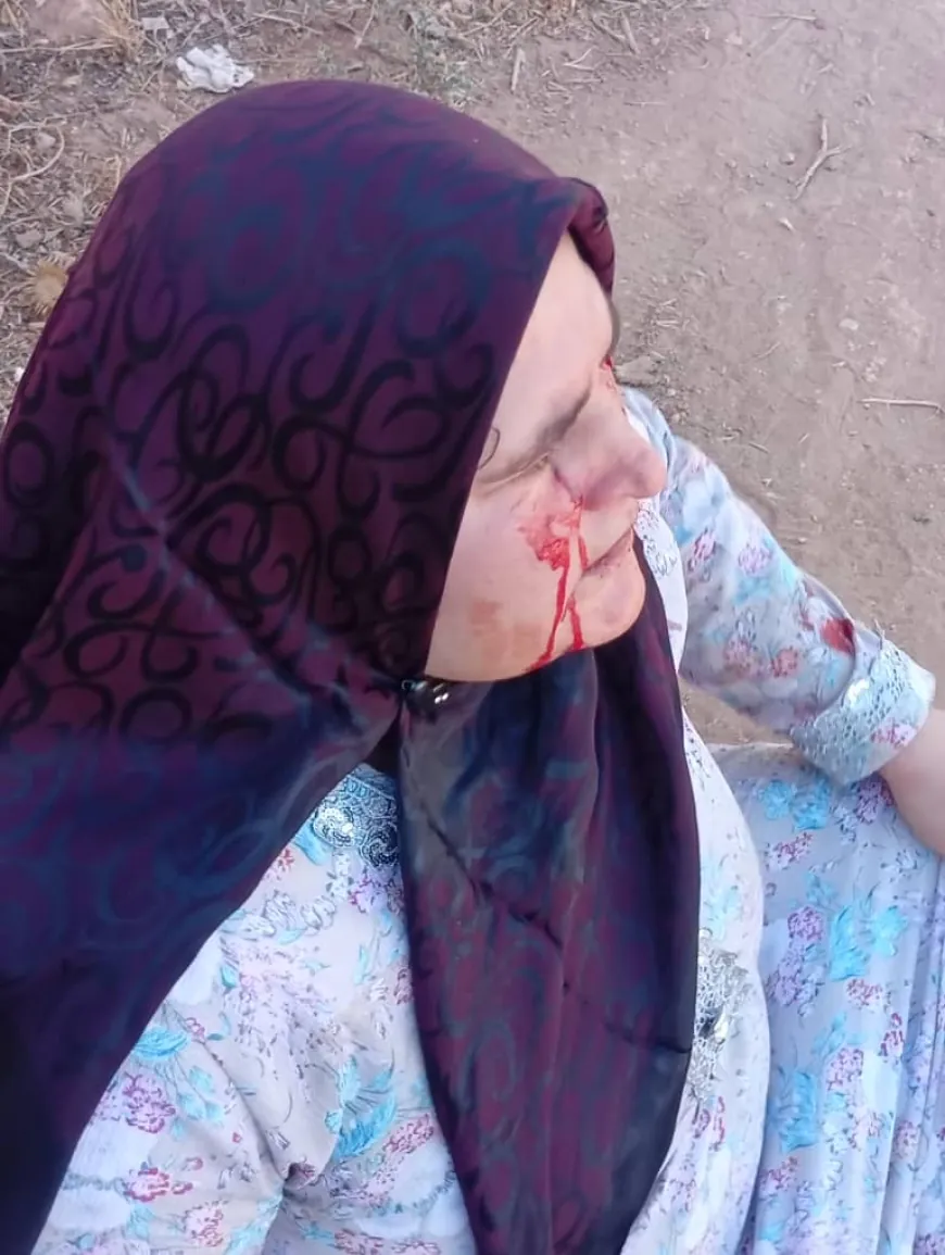 Hêzên ewlekariyê yên hikûmetê êrişî Til Eran û Til Hasil kirin