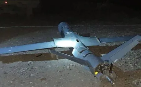 Li Bexdayê dronek hat xistin
