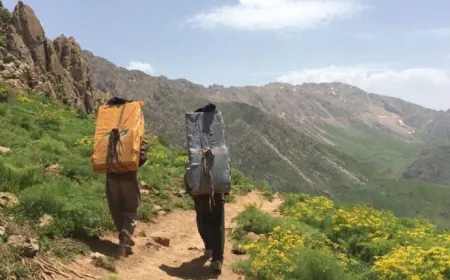 Li gorî bîlançoya Kolbernews: 2 kolber hatine qetilkirin û 6 jî birîndar bûne