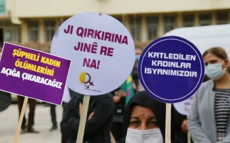 JINNEWS: 29 jin hatin qetilkirin 14 mirinên bi guman