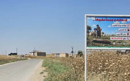 Tîmên pispor rêyên sereke yên Serê Kaniyê ji mayinan paqij dikin