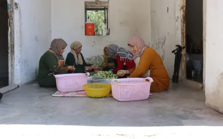 Komeke jinên li Kobanê berhemên xaka xwe vediguherînin jêderên debarê