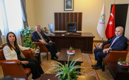 Hevdîtina Kurtulmuş û DEM Partiyê 45 deqeyan dom kir