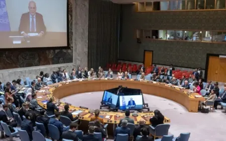 NY: Serkeftina pêvajoya veguhêz bi avakirina saziyên serbixwe ve girêdayî ye 