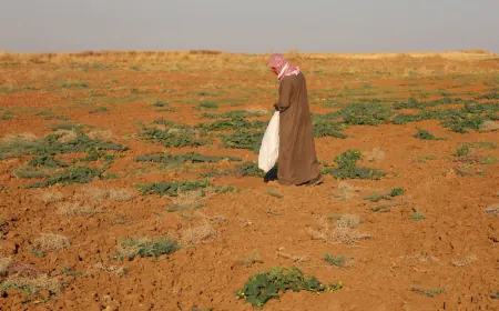 Xelkê Aliyan dest bi çinîna berhemên zeviyên xwe yên neavî kirin
