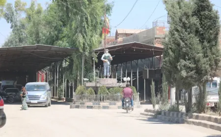 Pereyên nû li bazara Dirbêsiyê peyda nabin