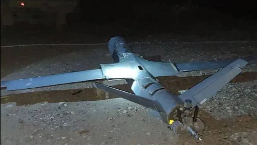 Li Bexdayê dronek hat xistin