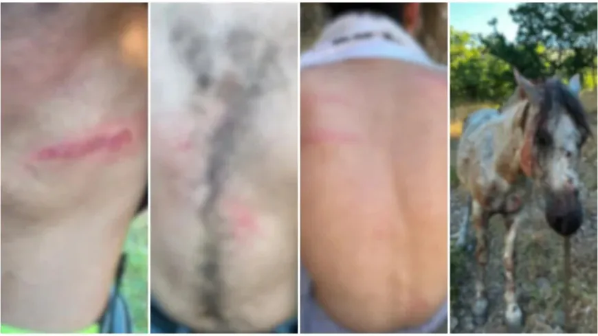 ‘Leşkerên Tirk îşkence li 6 ciwanan kirine‘