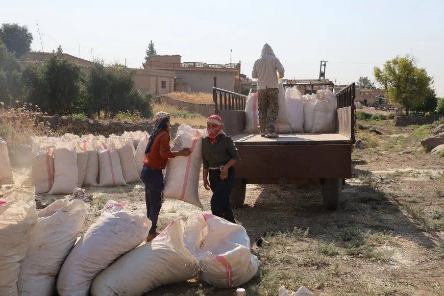 Şêniyan dest bi depokirina kayê kiriye