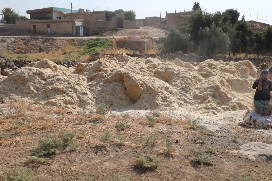 Şêniyan dest bi depokirina kayê kiriye