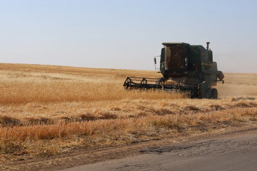 Şêniyan dest bi depokirina kayê kiriye