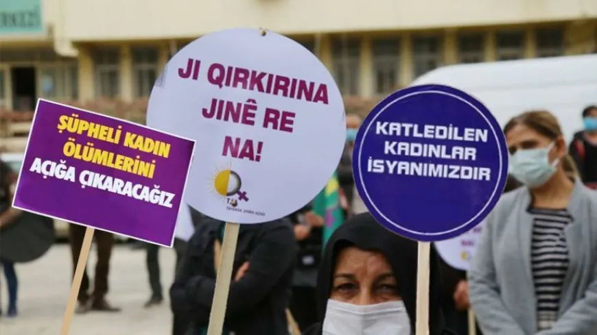 JINNEWS: 29 jin hatin qetilkirin 14 mirinên bi guman