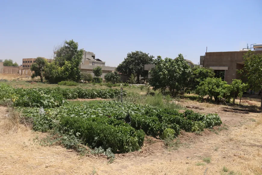 Kewser çanda çandiniyê bi keda xwe diparêze