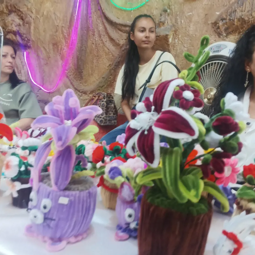  Li Siwêdayê jinan destkariyên xwe pêşan dan