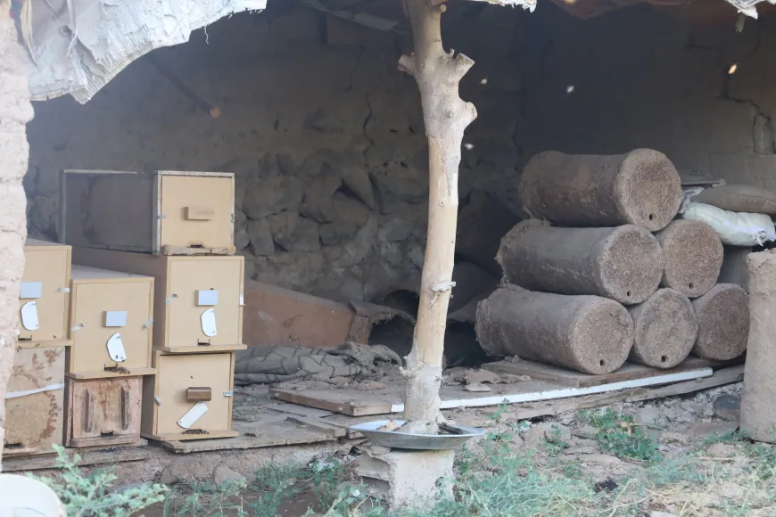 `Xwedîkirina mêşên hingiv çandeke me ya herêmê ye`