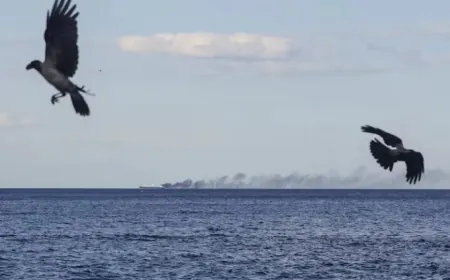 Rûsya du benderên Ukraynayê bombebaran kirin