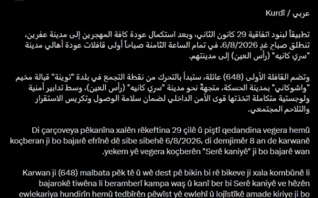 Mehmûd Elî: Sibe karwanê yekem a koçberên Serêkaniyê vedigere warê xwe